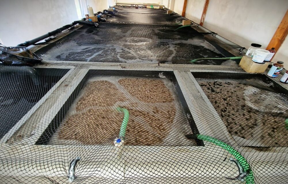 Martínek Fishery – RAS Vrchoviny