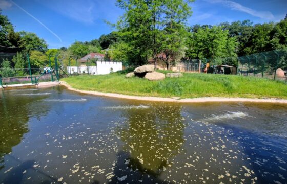 Zoologická a botanická zahrada města Plzně – Expozice lvů | Kubíček VHS