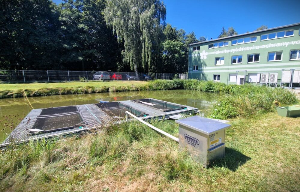 University of South Bohemia in České Budějovice – Faculty of Fisheries and Protection of Waters – Laboratory of Intensive Aquaculture, FROV JU Vodňany | Kubíček VHS