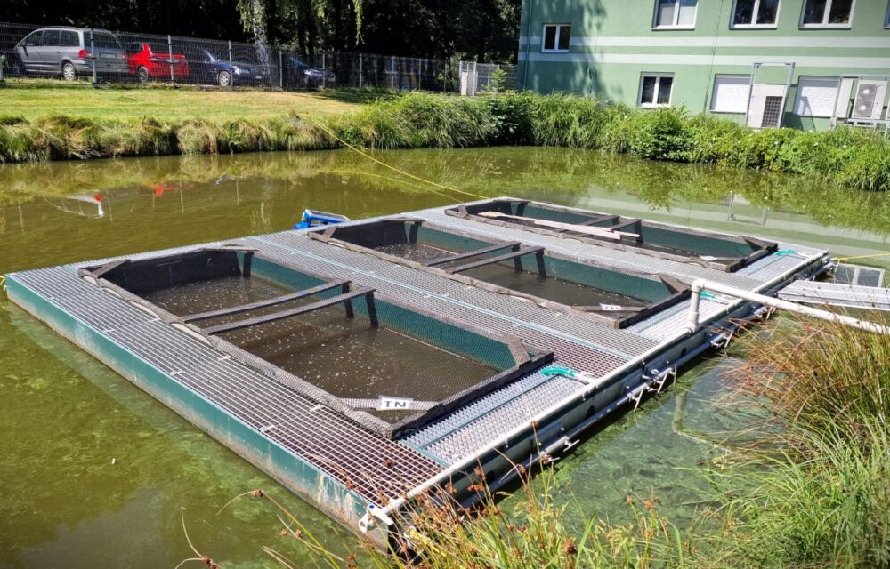 University of South Bohemia in České Budějovice – Faculty of Fisheries and Protection of Waters – Laboratory of Intensive Aquaculture, FROV JU Vodňany | Kubíček VHS