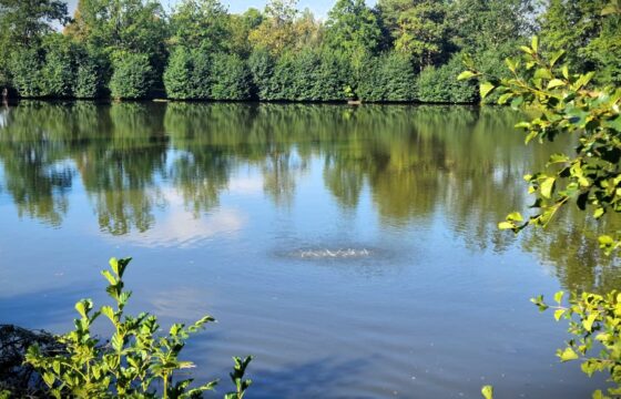 Fishermen Skuhrov – Czech Fishing Union | Kubíček VHS