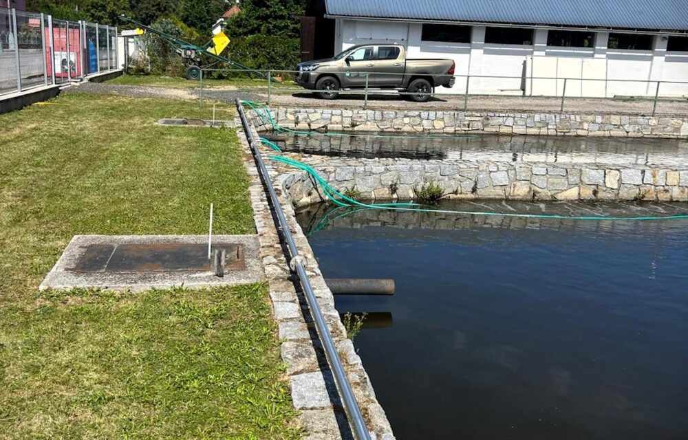 University of South Bohemia in České Budějovice – Faculty of Fisheries and Protection of Waters – Fishery Vodňany | Kubíček VHS