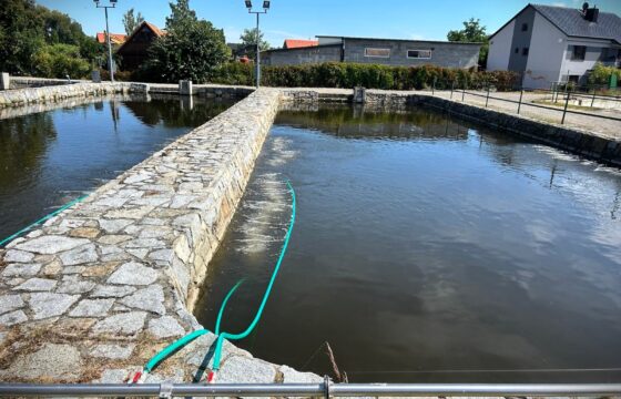 University of South Bohemia in České Budějovice – Faculty of Fisheries and Protection of Waters – Fishery Vodňany | Kubíček VHS