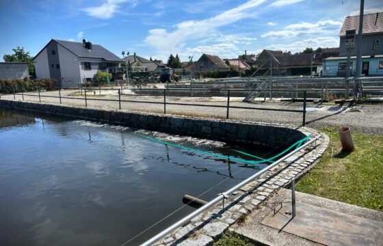 University of South Bohemia in České Budějovice – Faculty of Fisheries and Protection of Waters – Fishery Vodňany | Kubíček VHS
