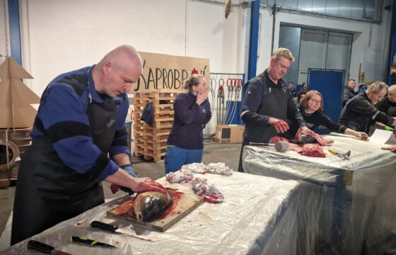 Vánoční kapr a zakončení roku 2025 | Kubíček VHS