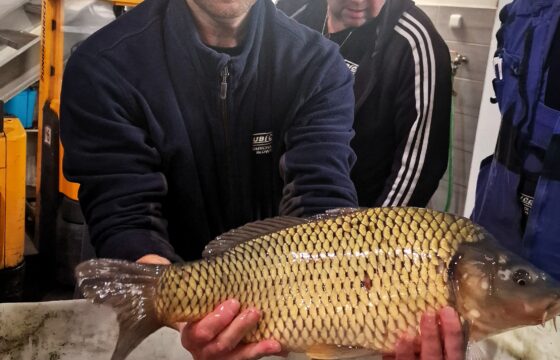 Vánoční kapr a zakončení roku 2025 | Kubíček VHS