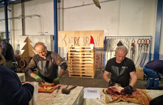 Vánoční kapr a zakončení roku 2025 | Kubíček VHS