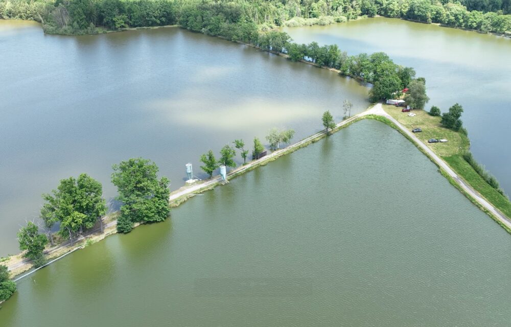 Automatické krmení ryb CARP-FEED | Kubíček VHS