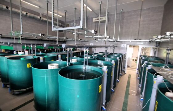 Jihočeská univerzita v Českých Budějovicích – Fakulta rybářství a ochrany vod – RAS ve zrekonstruované rybochovné hale Experimentálního pracoviště FROV JU ve Vodňanech.